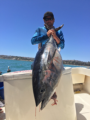 Bluefin Tuna Jig Fish Dana Point