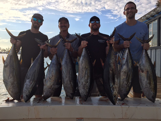 Yellowfin Tuna October 2016
