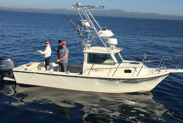 Fishing Charter 2017