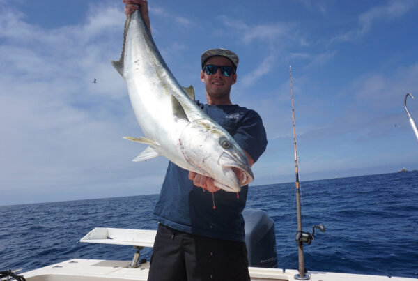 Yellowtail Coastal Fishing Charter