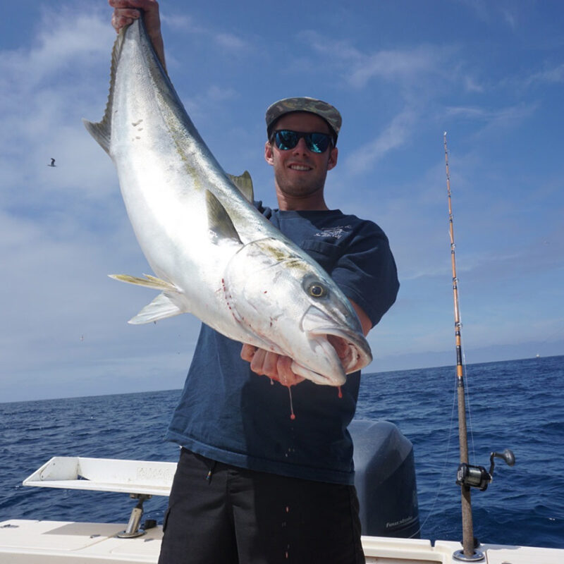 Yellowtail Coastal Fishing Charter