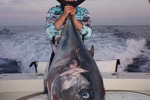 dorado fishing dana point
