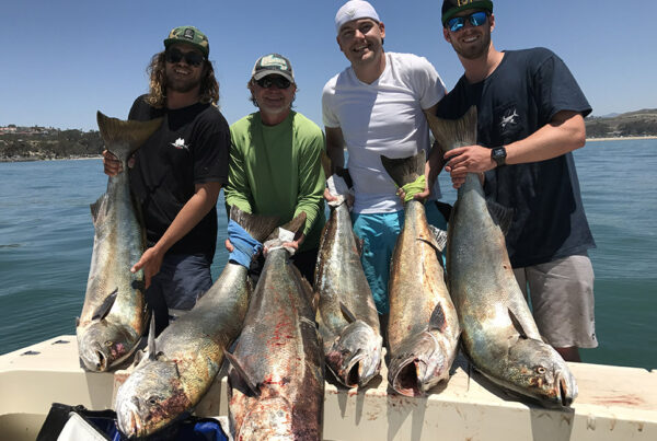 open-party-fishing-four-fish