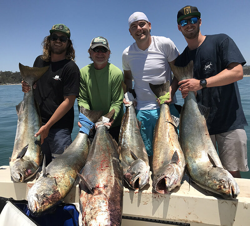 open-party-fishing-four-fish