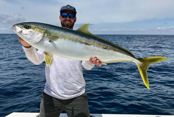 Yellowtail Dana Point