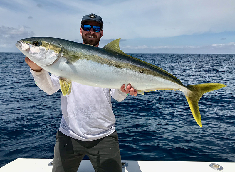 Yellowtail Dana Point