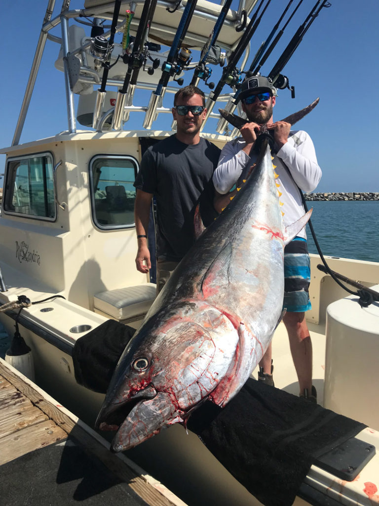bluefin charter fishing trips now operating february to december