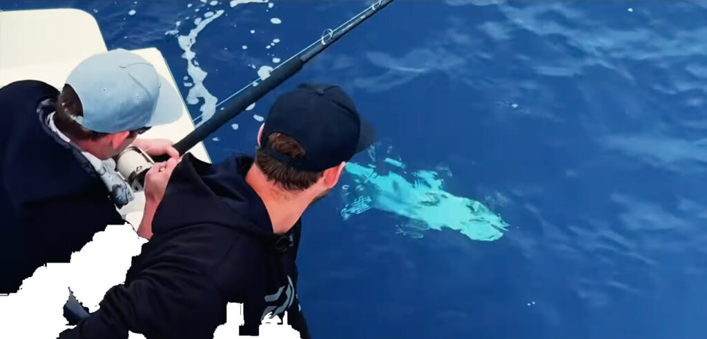 Fishing in Full Swing