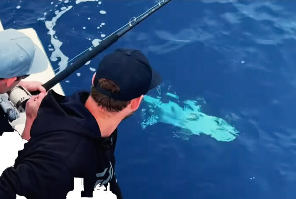 Fishing in Full Swing