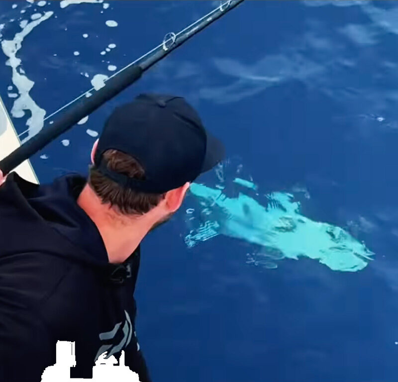 Fishing in Full Swing