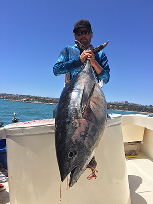 Bluefin Tuna Big Fish Dana Point