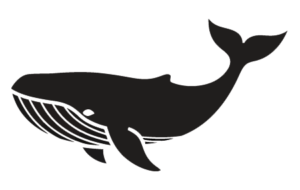 icon whale