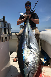 Bluefin Tuna
