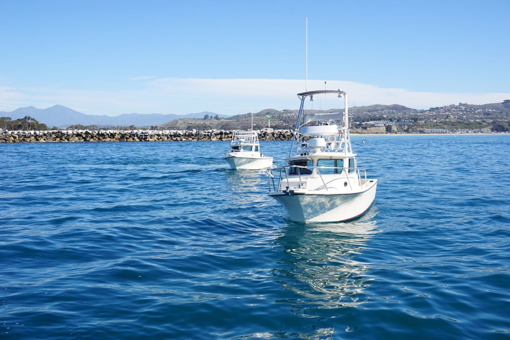 dana point fishing9