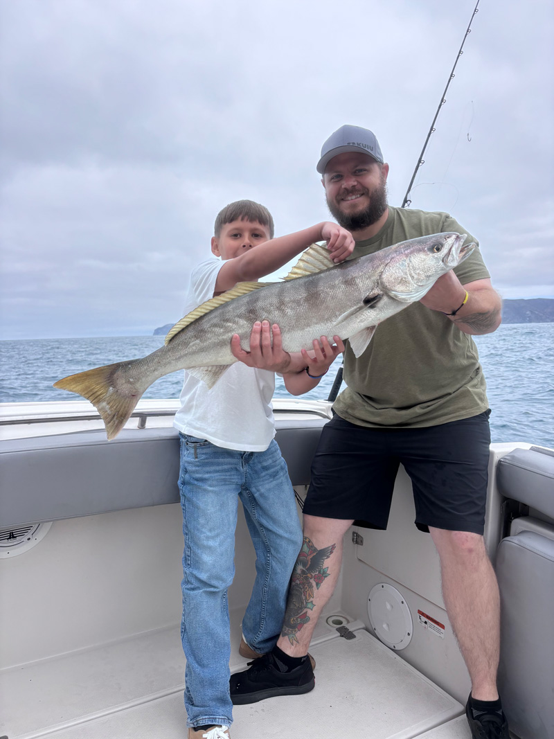 Fish Report July 2026