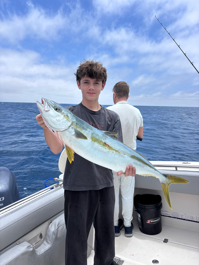Fish Report July 2026